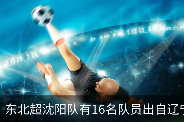 东北超沈阳队有16名队员出自辽宁铁人青训，前两场球队一共进4球